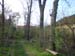 Kiscsako_Geist-Batthyany-kastely 029